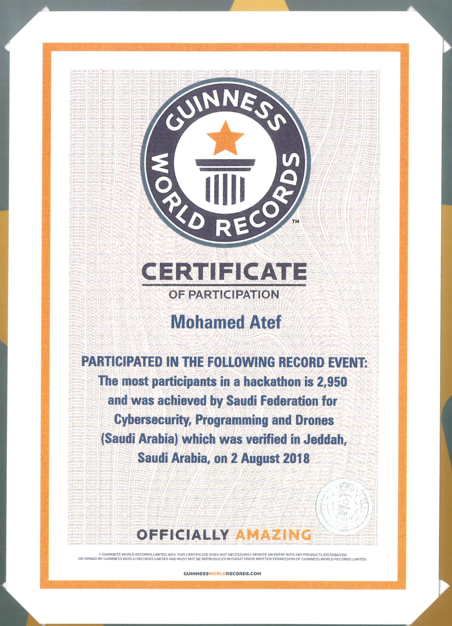 Guinness World Records Participation